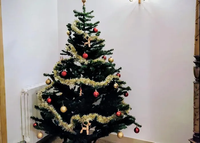 Casa Gallo Doro 公寓